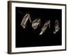 Jaxware-Fabio Panichi-Framed Photographic Print