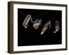 Jaxware-Fabio Panichi-Framed Photographic Print