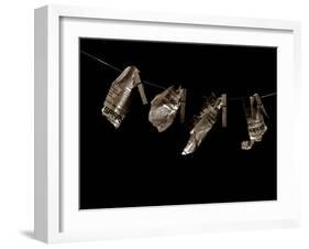 Jaxware-Fabio Panichi-Framed Photographic Print