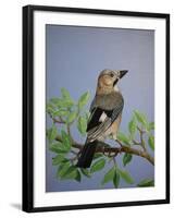 Jay, 2016-Pat Scott-Framed Premium Giclee Print