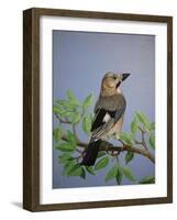 Jay, 2016-Pat Scott-Framed Giclee Print