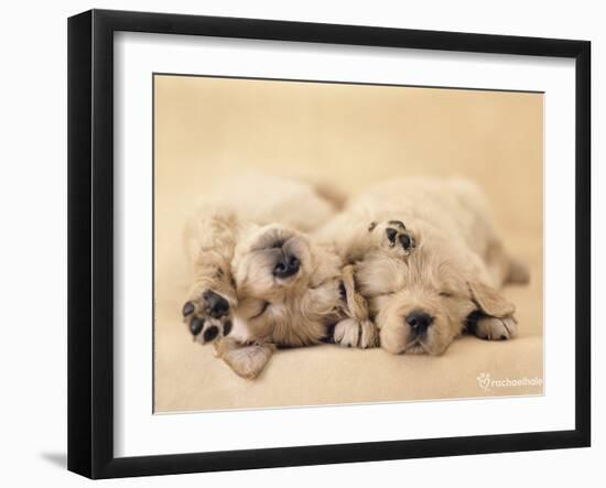 Jay and Connie-Rachael Hale-Framed Photo