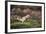 Jay (Garrulus Glandarius). Scotland, UK, February-Mark Hamblin-Framed Photographic Print