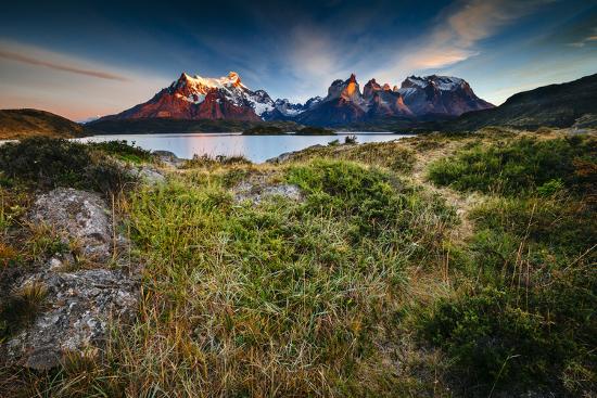 Premium Photographic Print, , large