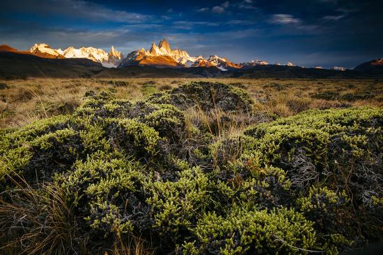 Premium Photographic Print, , large