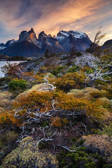 Premium Photographic Print, , large