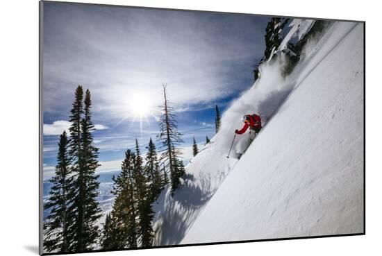 Photographic Print, , large