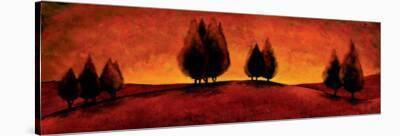 Cypress in Florence II-Jay Molando-Stretched Canvas