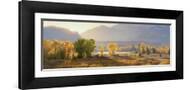 Brown Frame