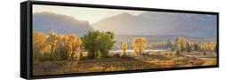 Framed Canvas
