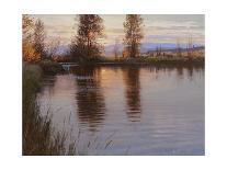 Tranquil Evening-Jay Moore-Stretched Canvas