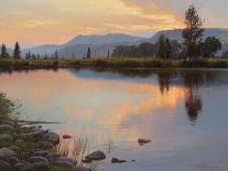 Tranquil Evening-Jay Moore-Stretched Canvas