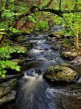 USA, Pennsylvania, Benton. Waterfall in Ricketts Glen State Park-Jay O'brien-Photographic Print