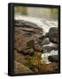 Essential Black