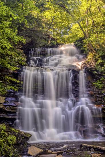 Premium Photographic Print, , large