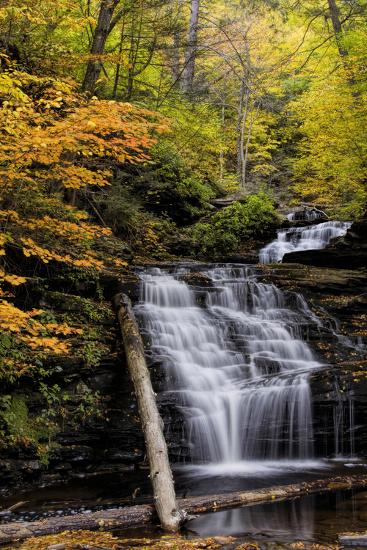 Premium Photographic Print, , large