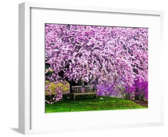 Framed Photographic Print, , large
