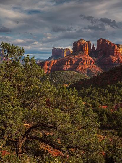 Photographic Print, , large