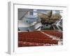 Jay Pritzker Pavilion Designed by Frank Gehry, Millennium Park, Chicago, Illinois, USA-Amanda Hall-Framed Photographic Print