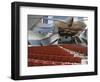 Jay Pritzker Pavilion Designed by Frank Gehry, Millennium Park, Chicago, Illinois, USA-Amanda Hall-Framed Photographic Print