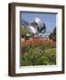 Jay Pritzker Pavillion Designed by Frank Gehry, Millennium Park, Chicago, Illinois, USA-Amanda Hall-Framed Photographic Print