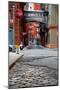 Jay Street Color-Chris Bliss-Mounted Photographic Print