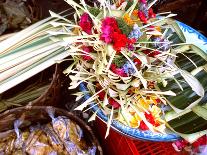 Canang Sari, Traditional Balinese Daily Offering, Ubud, Bali, Indonesia-Jay Sturdevant-Photographic Print