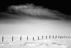 Fence Line-Jay Wesler-Giclee Print