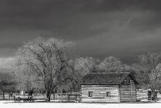 Fence Line-Jay Wesler-Giclee Print