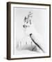 Jayne Mansfield-null-Framed Photo