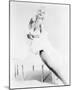 Jayne Mansfield-null-Mounted Photo