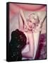 Jayne Mansfield-null-Framed Stretched Canvas