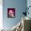 Jayne Mansfield-null-Framed Stretched Canvas displayed on a wall