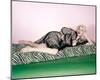 Jayne Mansfield-null-Mounted Photo