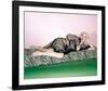 Jayne Mansfield-null-Framed Photo