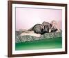 Jayne Mansfield-null-Framed Photo