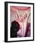 Jayne Mansfield-null-Framed Photographic Print