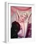 Jayne Mansfield-null-Framed Photographic Print