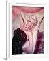 Jayne Mansfield-null-Framed Photographic Print