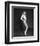 Jayne Mansfield-null-Framed Photo