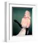 Jayne Mansfield-null-Framed Photo