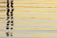Abstract Reflections in San Diego Harbort, San Diego, California, USA-Jaynes Gallery-Photographic Print