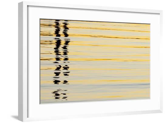 Framed Photographic Print, , large