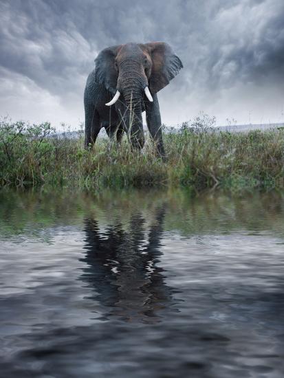 Premium Photographic Print, , large