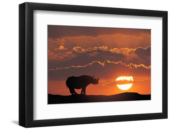 Premium Photographic Print, , large