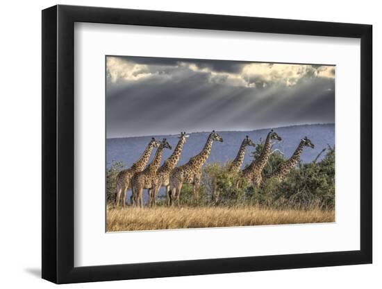 Premium Photographic Print, , large
