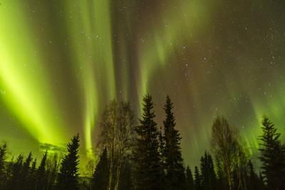 Alaska Giclee Canvas Storm Picture Wall Art Dancing Northern Lights