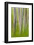 Chelsea Black