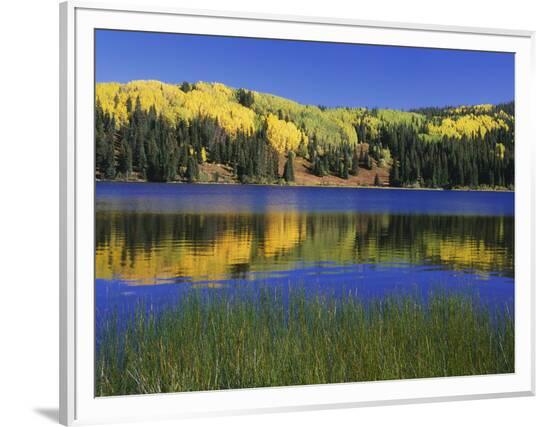 Framed Photographic Print, , large