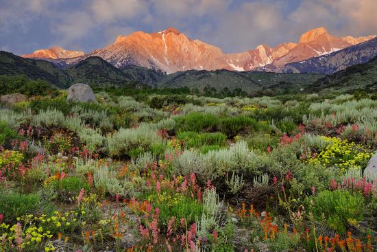 Premium Photographic Print, , large